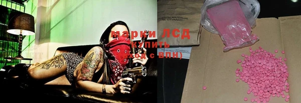 ПСИЛОЦИБИНОВЫЕ ГРИБЫ Верея