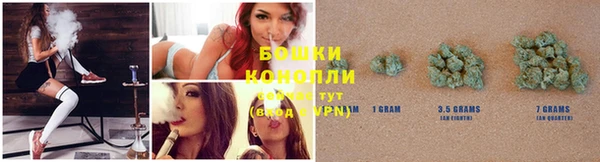 спиды Богданович