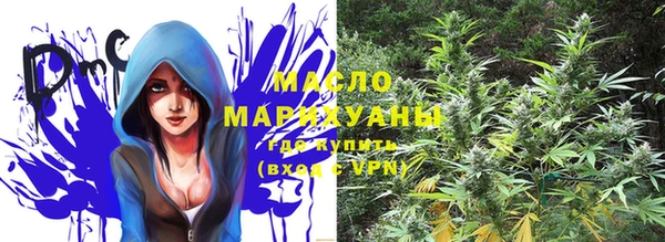 молекула духа Верхний Тагил