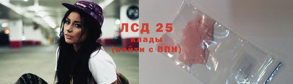 ПСИЛОЦИБИНОВЫЕ ГРИБЫ Верея