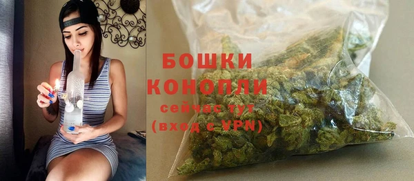 молекула духа Верхний Тагил