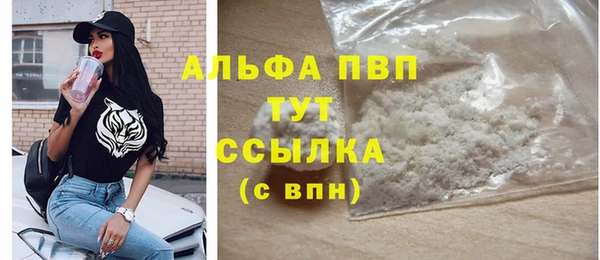 молекула духа Верхний Тагил