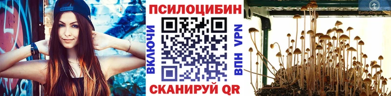 shop клад  Вуктыл  Галлюциногенные грибы Cubensis  купить наркоту 