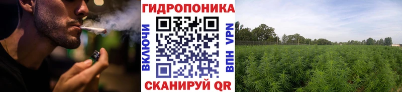 мега рабочий сайт  Вуктыл  Бошки марихуана тримм 